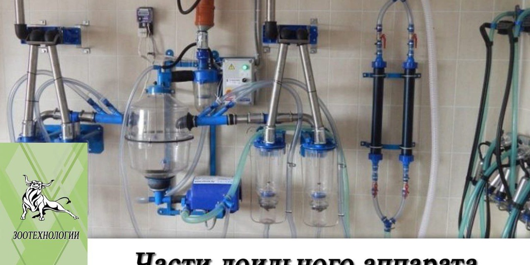 Части доильного аппарата