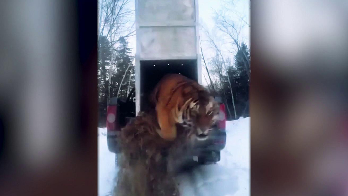    Первый канал