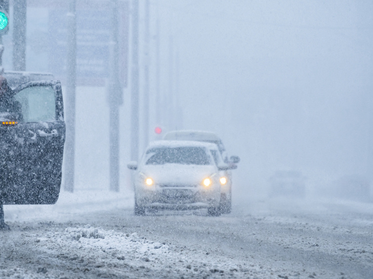     ФОТО: Konstantin Kokoshkin / Global Look Press