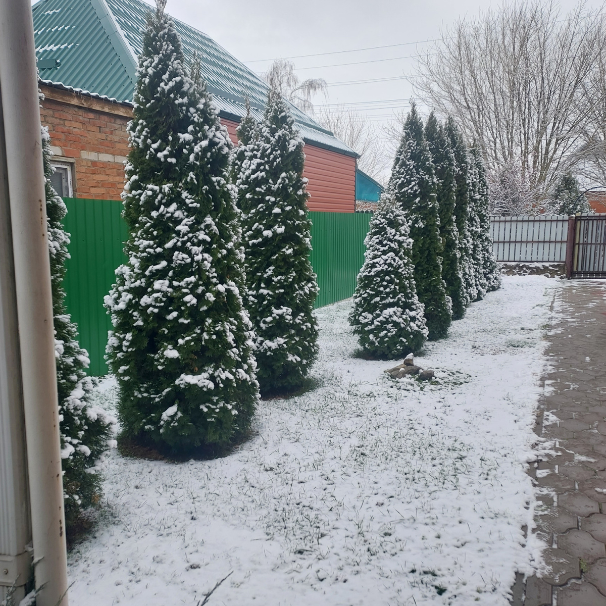 У нас во дворе