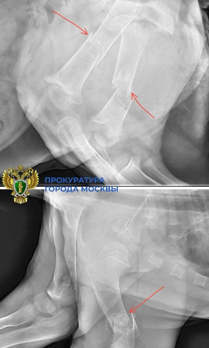    Фото: пресс-служба прокуратуры Москвы