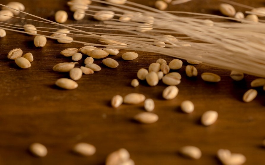    фото: фрипик