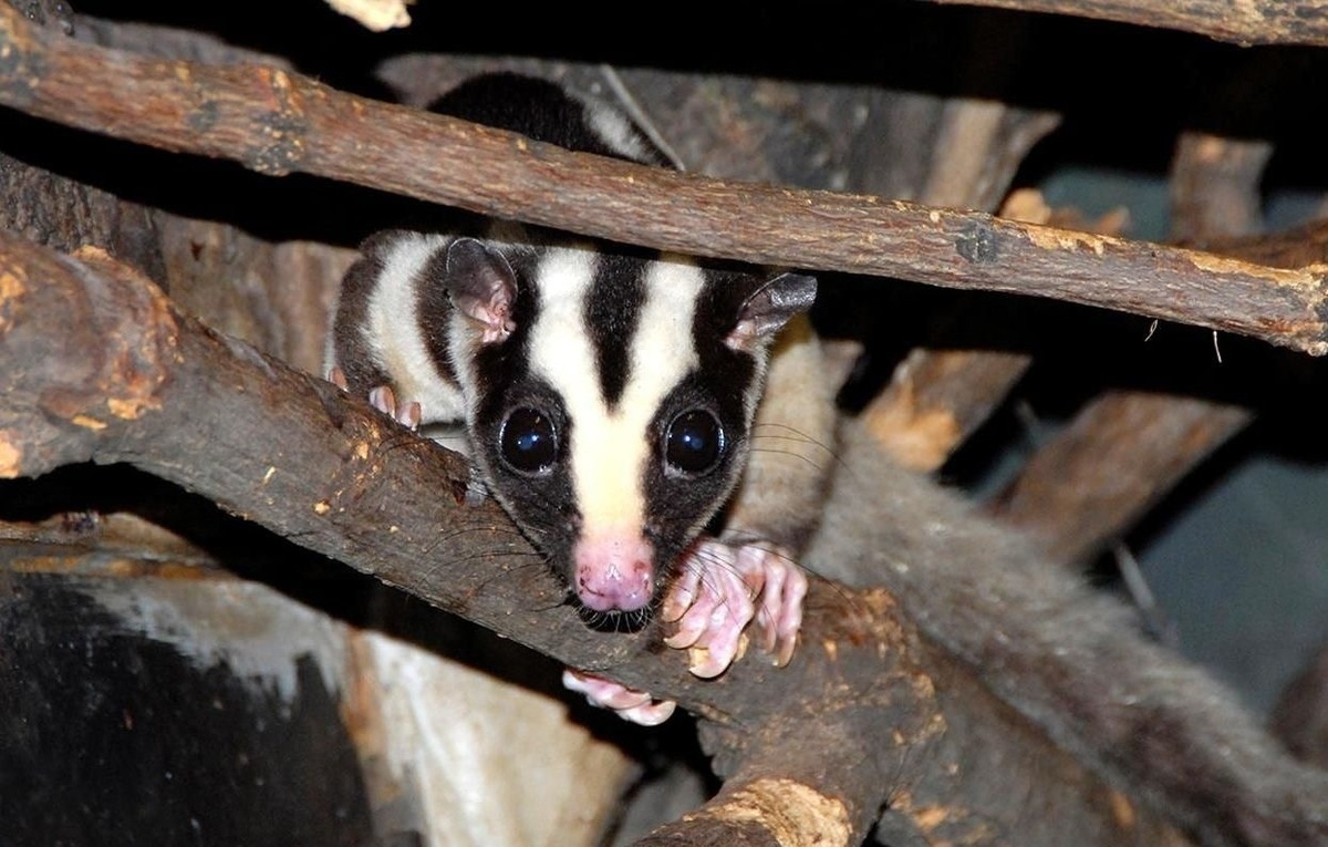 Пресс-служба Департамента культуры города Москвы