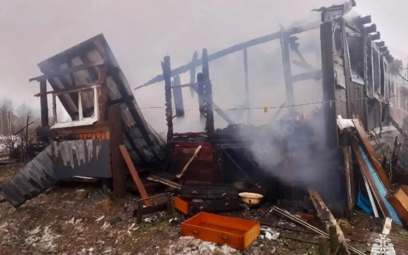    Спасатели показали фото с места смертельного пожара в ПрионежьеМЧС Карелии