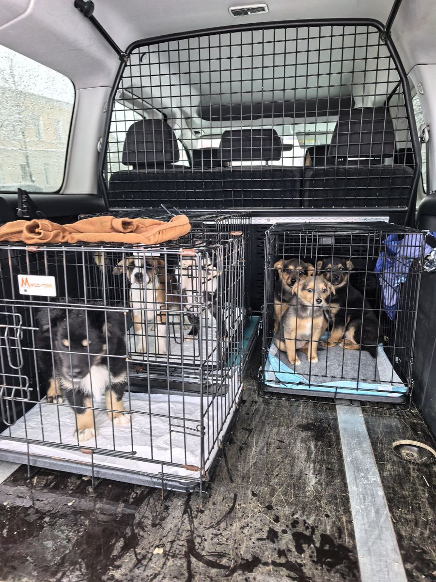 Для всех подготовила грелки и костюмы. Фото из архива автора