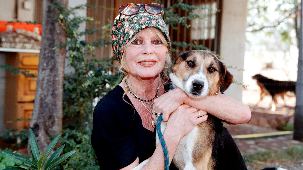    Брижит Бардо. Фото: Getty Images