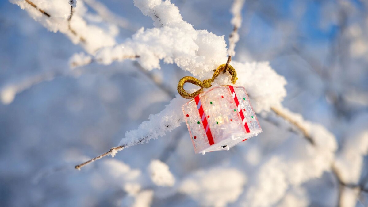   Фото: Федор Воронов / «Ямал-Медиа»