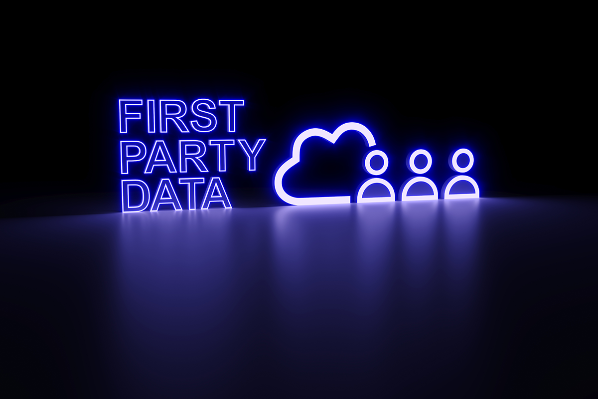 https://connectica.pro/first-party-data-system-2026/