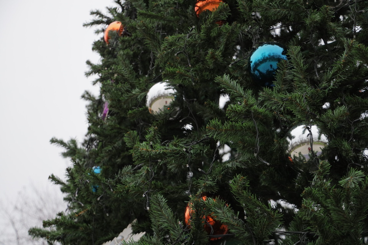    Фото: ТРК «Таврия»