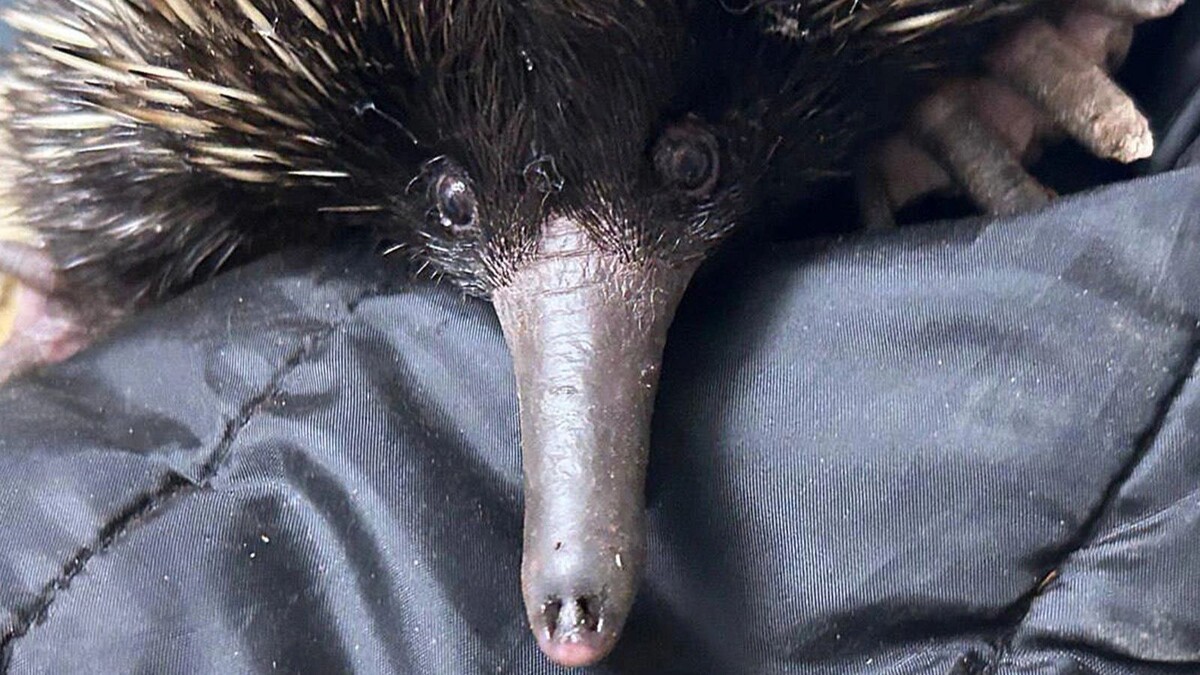    Фото: www.mos.ru