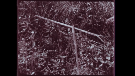 Метки ловушек