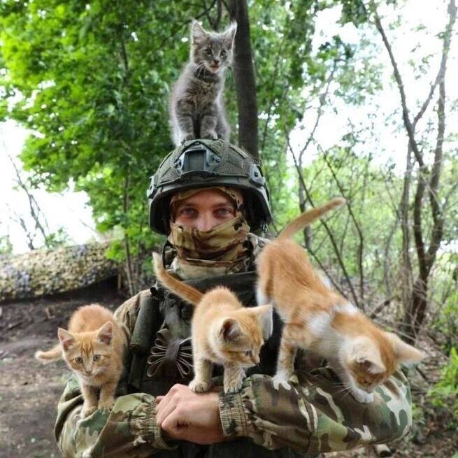 фото из открытых источников