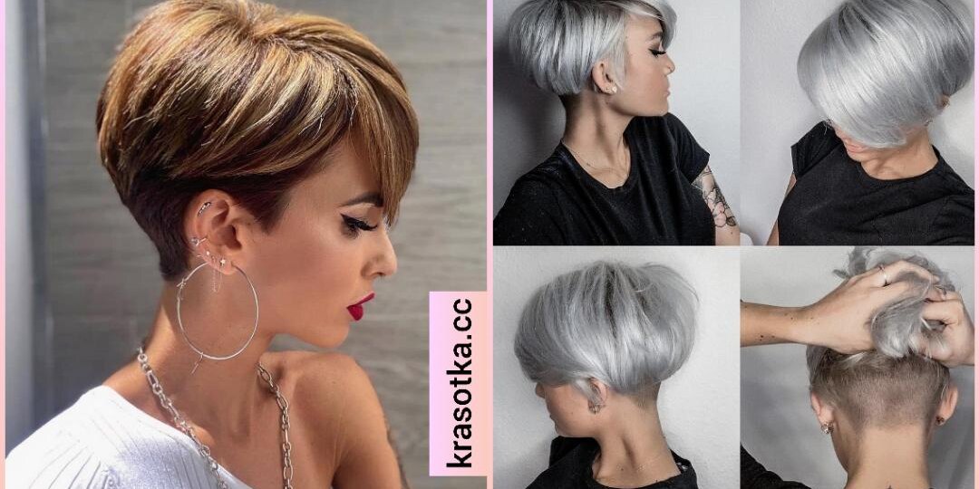 Пикси-боб: 17 стильных и актуальных примеров на 2026 год