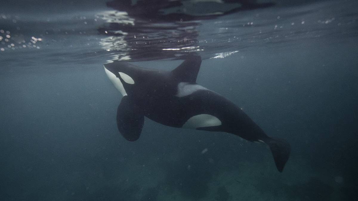    Фото: Shutterstock