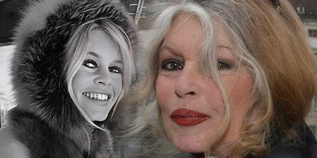 Прощай, Бриджит Бардо: почему не любила сына, ушла из кино в 39, разводы. Биография и личная жизнь символа Франции 60-х