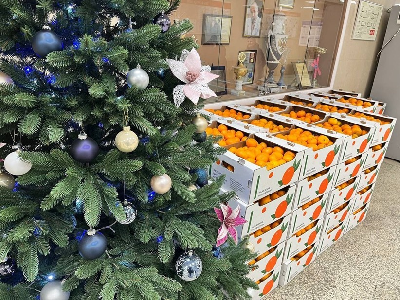 Автор фото: Пресс-служба Смольного