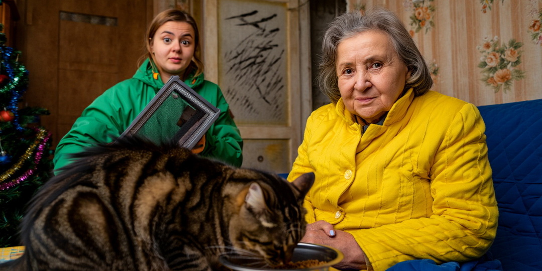 – Не отдам. Заводи нового. – Дочь приехала за котом, но мать указала ей на дверь