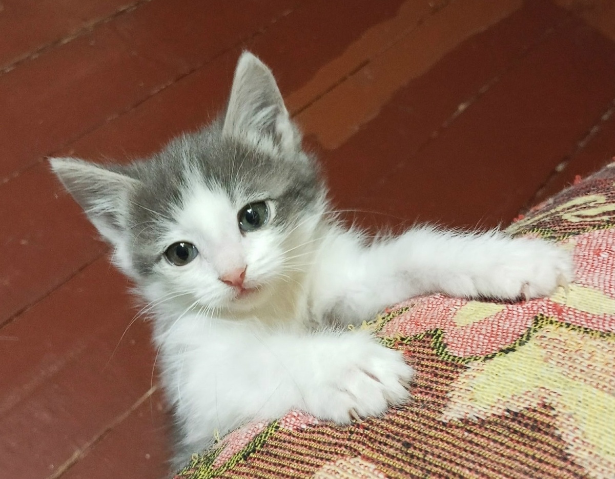 Странно, почему такого хорошенького не замечают