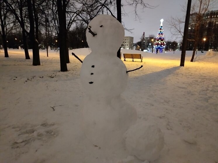     Фото: Архив МК в Питере.