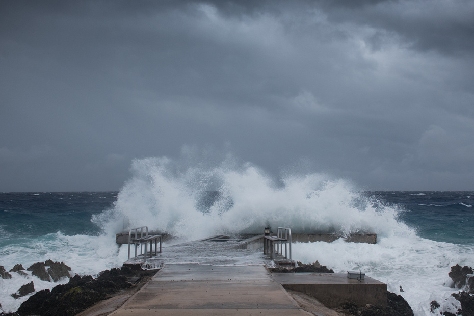    Shutterstock/FOTODOM