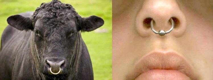 Картинка из интернета. Спасибо её неизвестному создателю