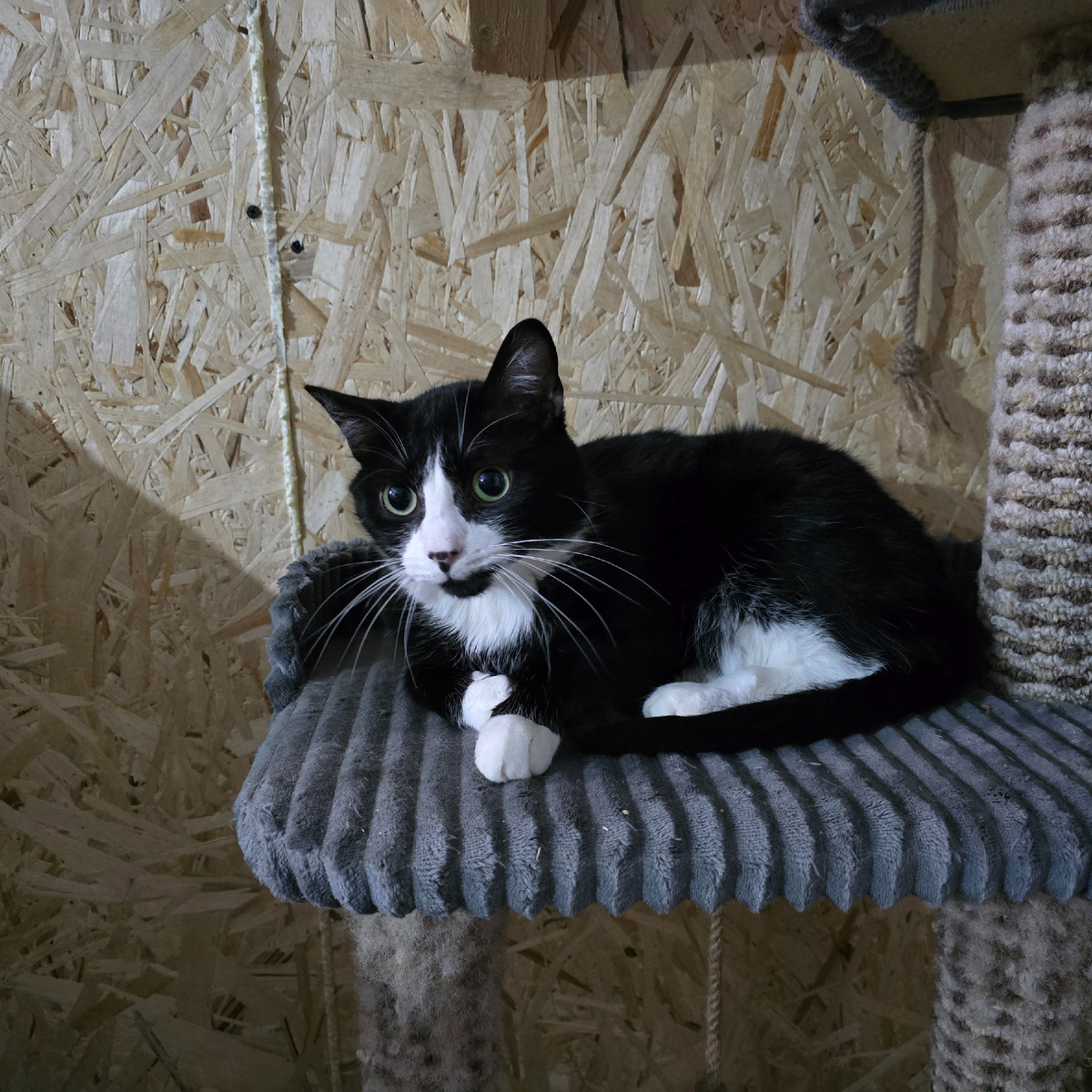 чёрно-белое сердце тянется к теплу