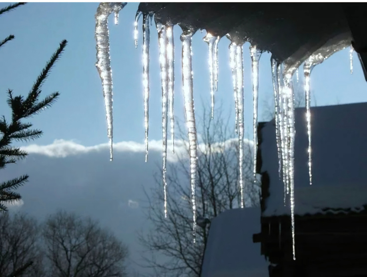 Изображение из открытых источников 