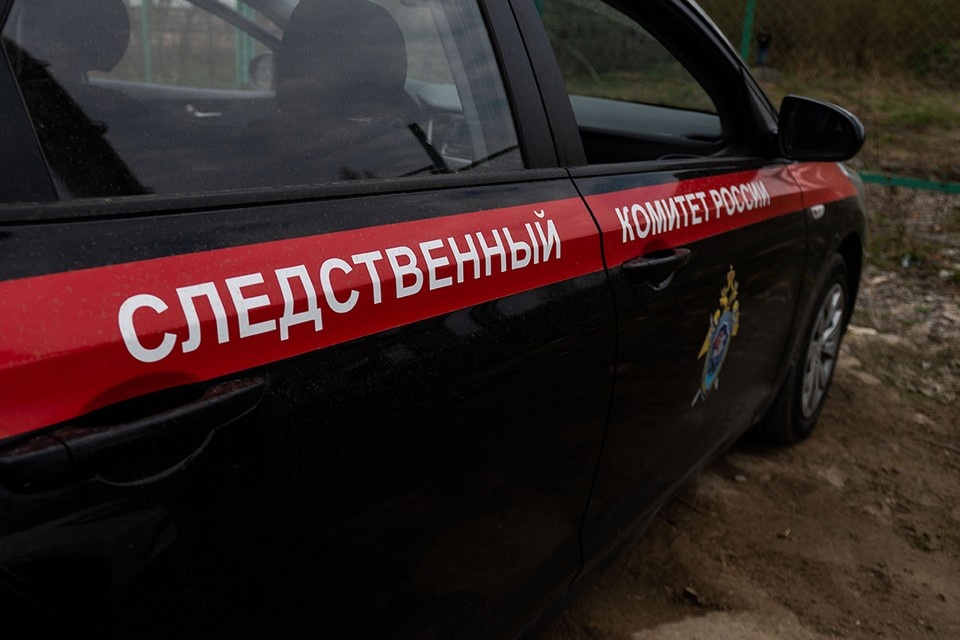    Подозреваемого в насилии отправили в СИЗО. Юлия ПЫХАЛОВА