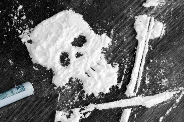    Источник фото: kubnews.ru