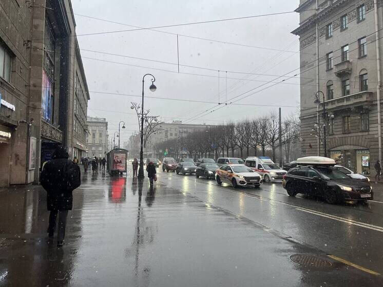     Фото: Архив МК в Питере.