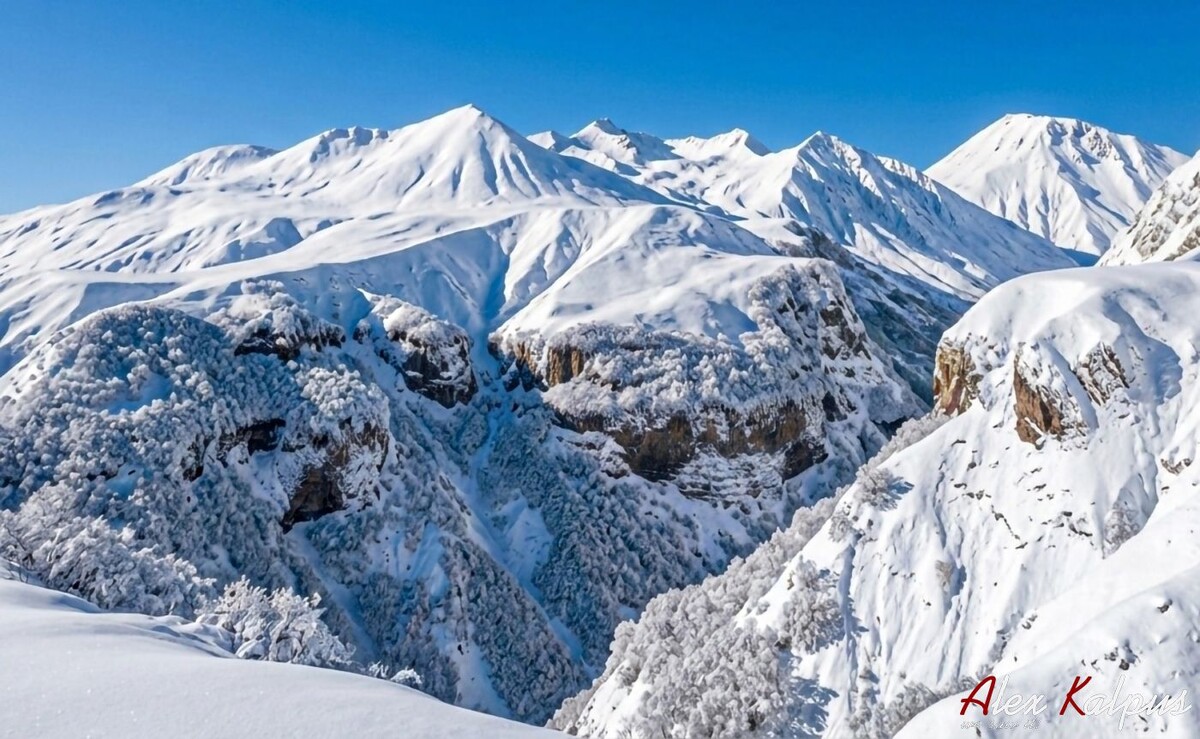 Как мои подписчики помогли мне купить профессиональный объектив