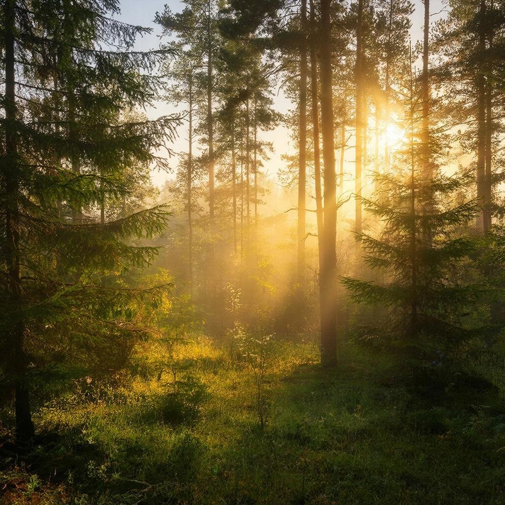 А что такое жизнь? А что такое власть?