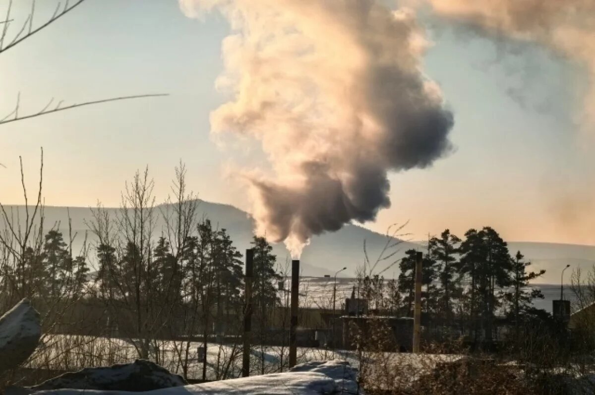    «Экобот» выявил 23 экологических нарушения в Чите за неделю