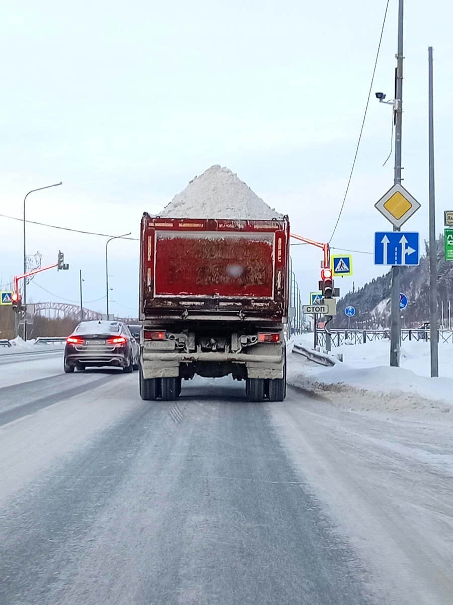 Фото автора.