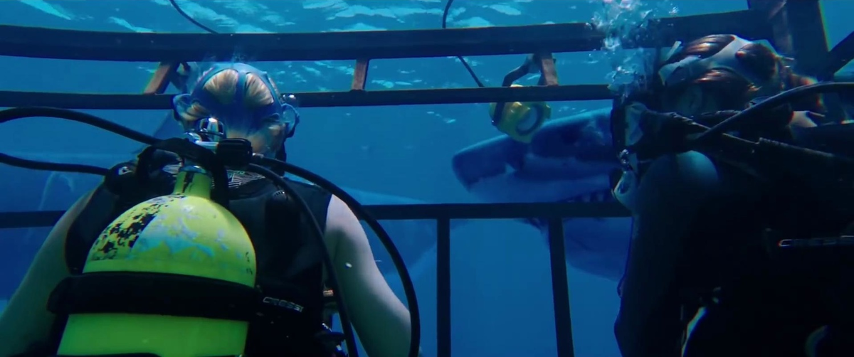 Кадр из фильма. Источник: https://images-s.kinorium.com/movie/shot/704773/w1500_1169446.jpg