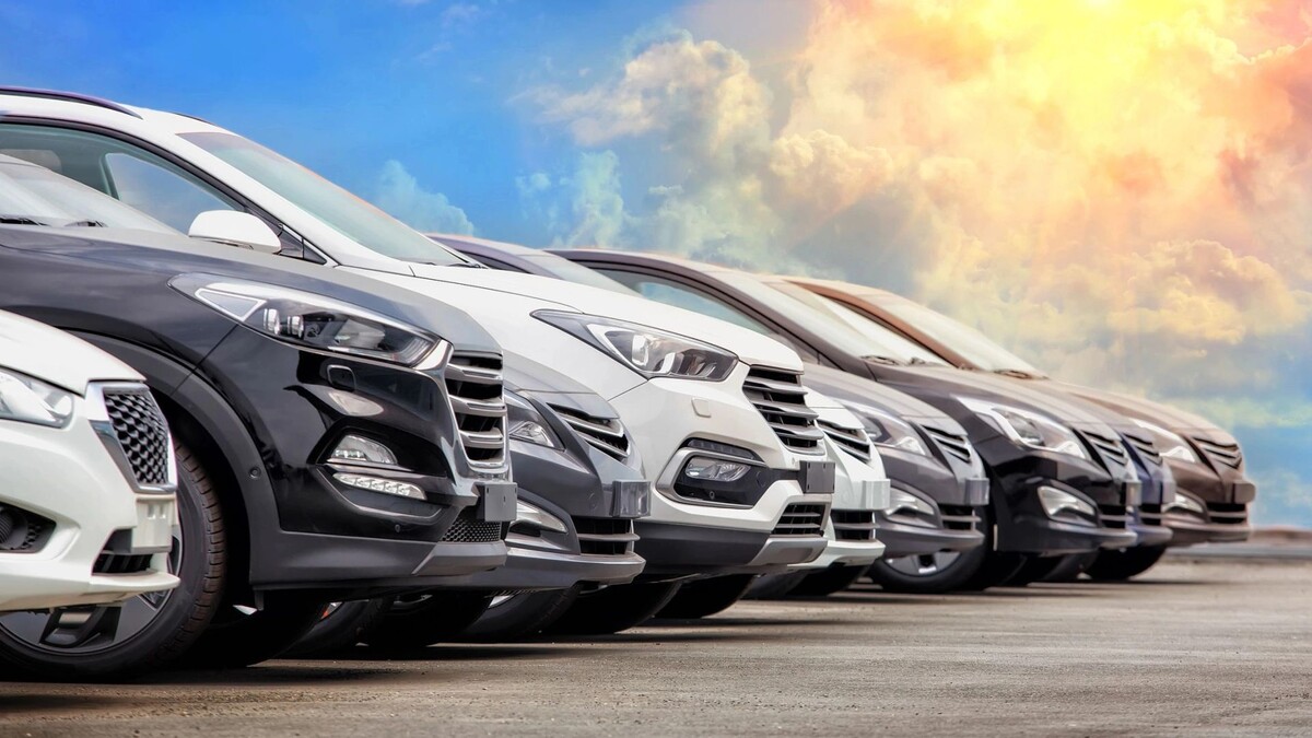    Фото: Mikbiz/Shutterstock/Fotodom