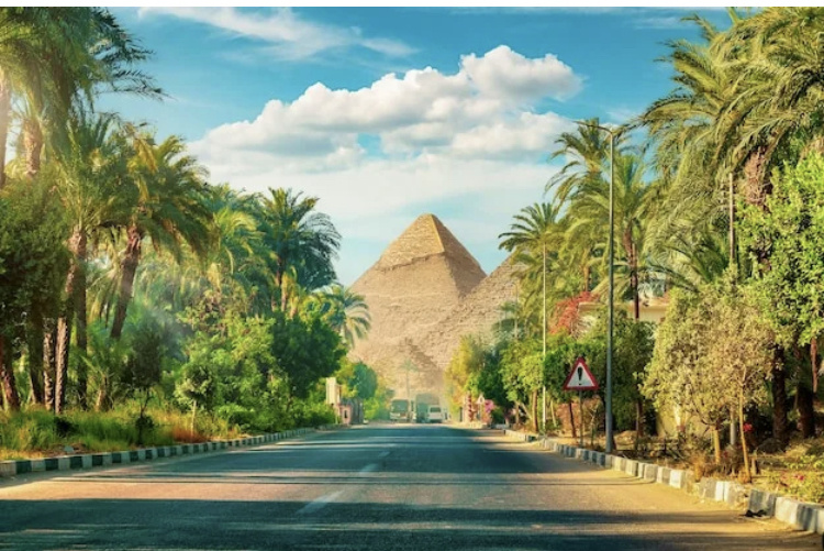 Фотография из открытых источников интернет