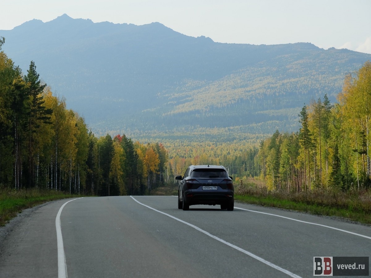     Фото: Владислав Постников / Вечерние ведомости