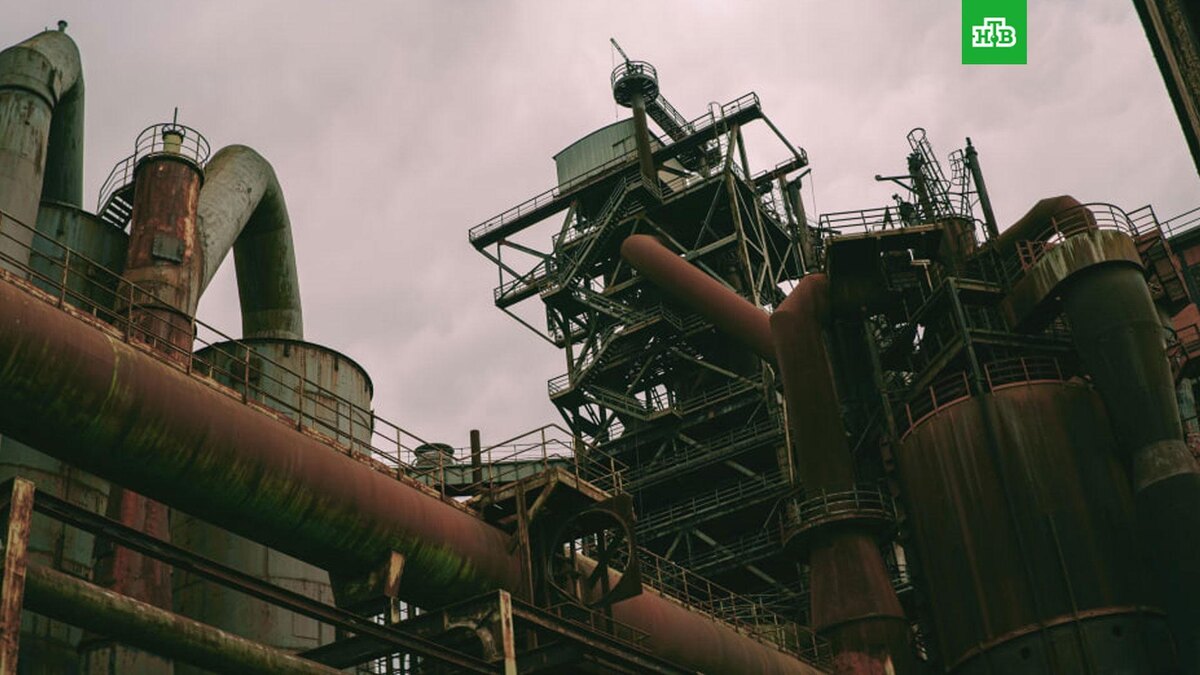    Фото: Daniel von Appen / unsplash.com