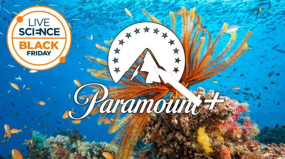    Как смотреть документальные фильмы о природе и удивительные открытия с 77% скидкой на Парамаунт+ в Черную пятницу