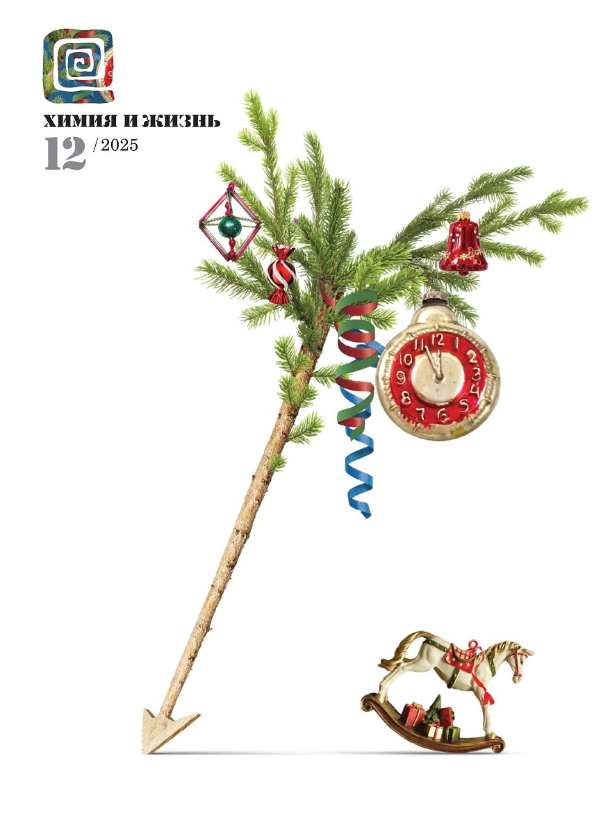 Дизайн обложки: Александр Кук