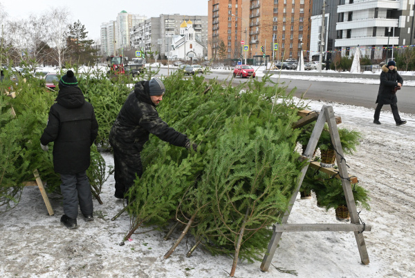 Фото: Илья Наймушин/РИА Новости