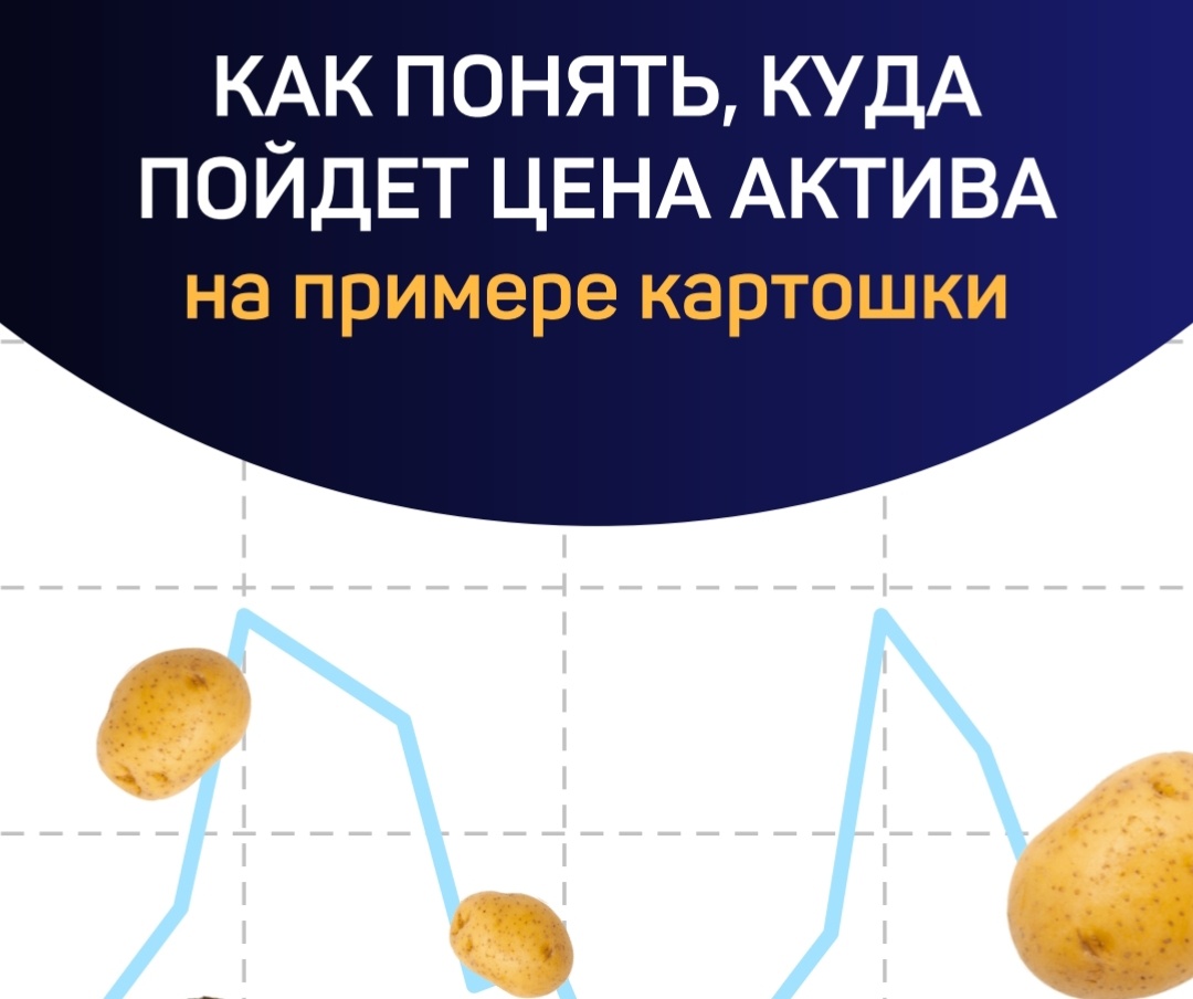 Обложка той самой методички. Обрезала её сверху и снизу, чтобы не показывать название этой школы трейдинга.