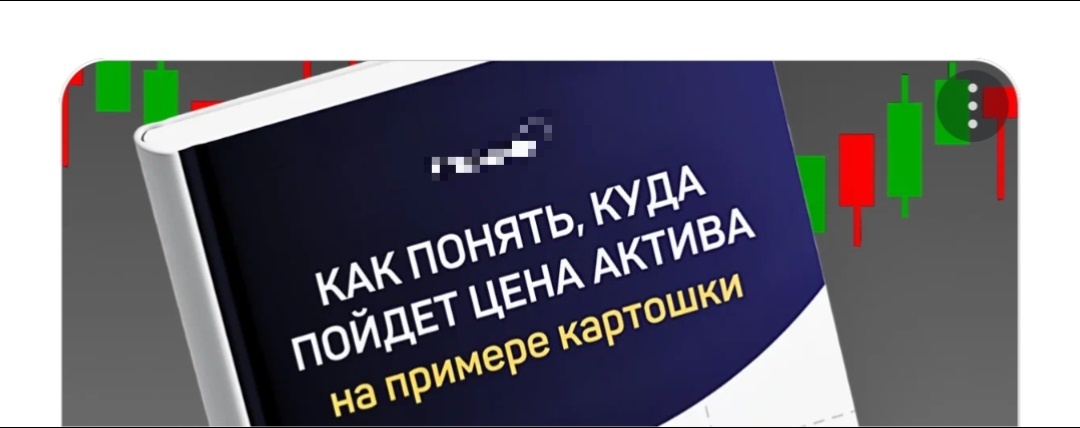 Так выглядела обложка методички в рекламе. Скриншот. 
