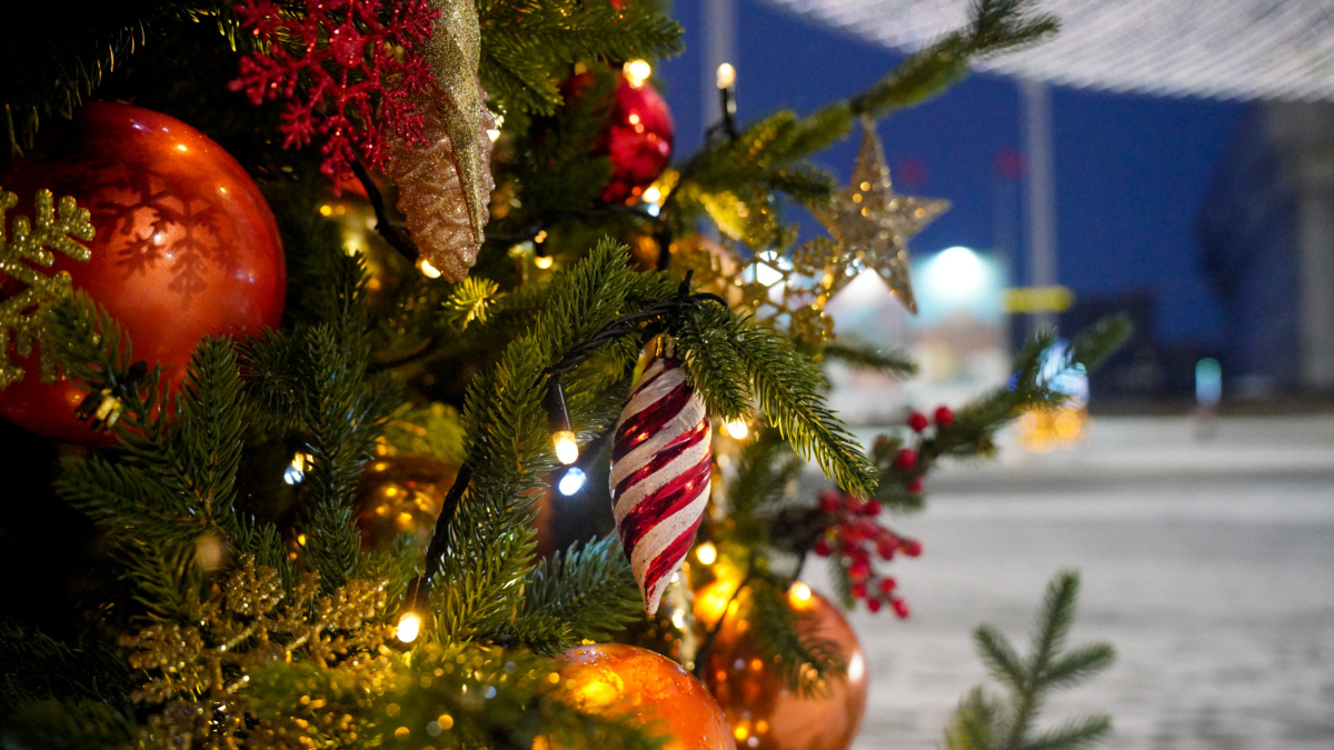 Светлана Мулыкина📷
