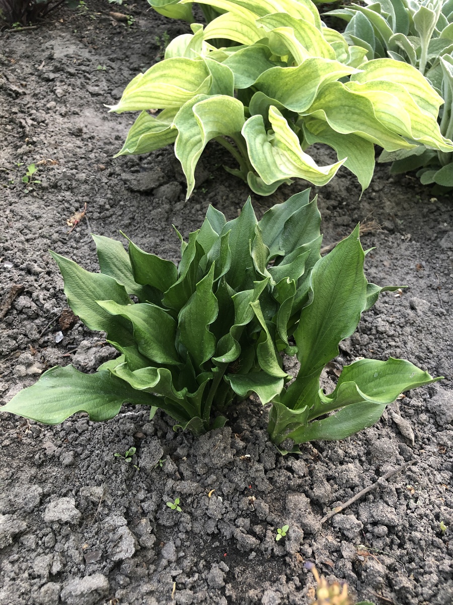 Lakeside Storm Watch