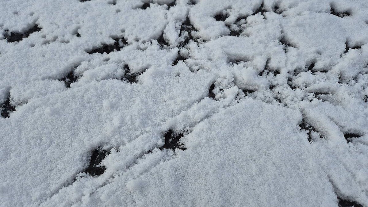    Фото: телеканал «Краснодар»