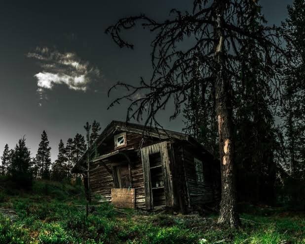 Изображение взято с интернет ресурса https://ru.freepik.com/premium-photo/abandoned-old-cabin-woods-high-quality-photo_130535000.htm
