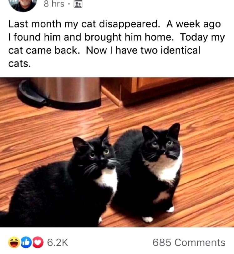 (с) thappingmkalestate / Reddit 