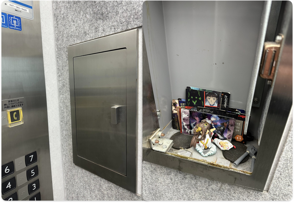 (с) Korratheblackcat / Reddit 